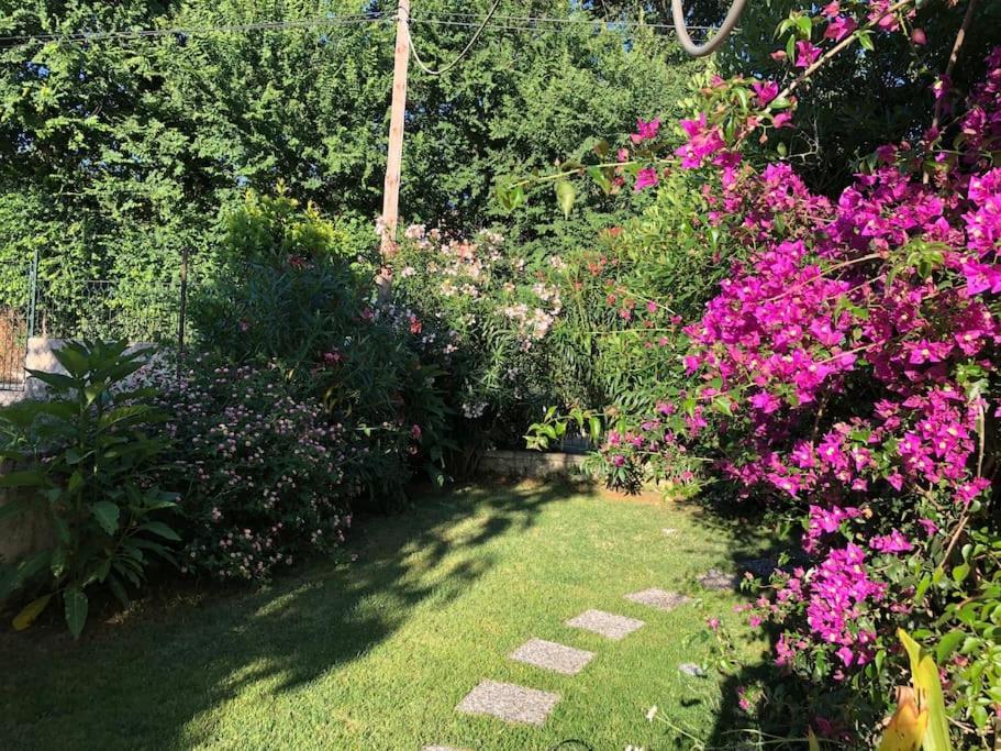 Apartment 2 Bedroom Ground Floor - Meadow Views *