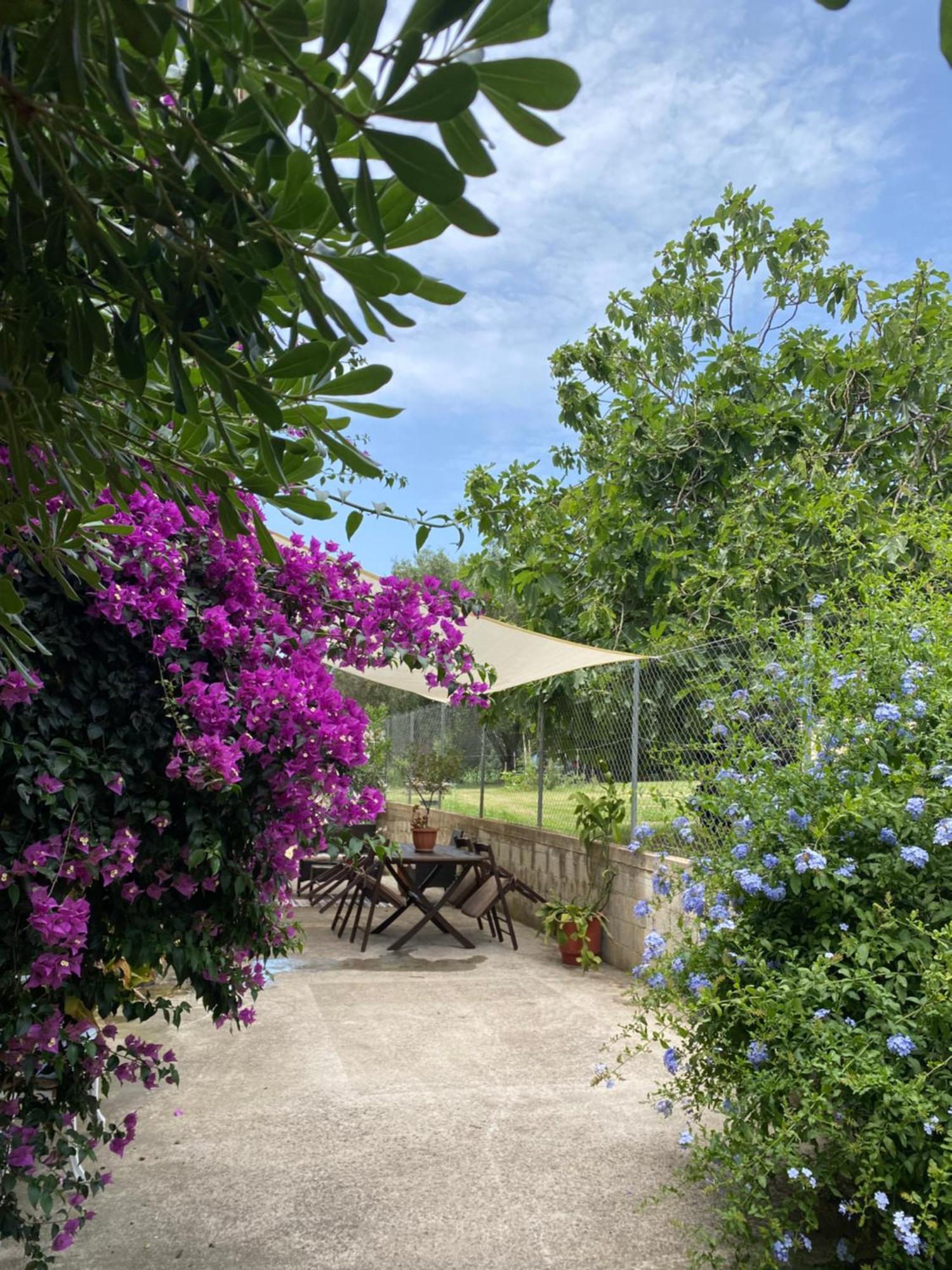 Apartment 2 Bedroom Ground Floor - Meadow Views